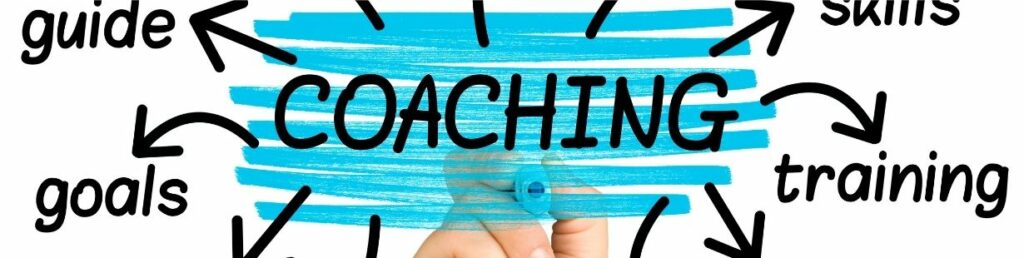 A Holistic Approach to Individual and Team Coaching